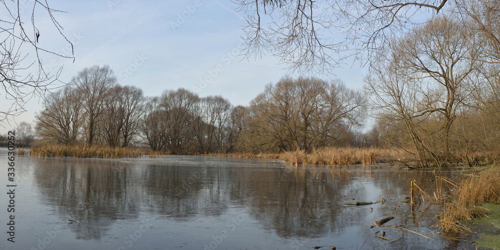 Walking through the forest, beautiful panorama. Walking through the forest, beautiful panorama.