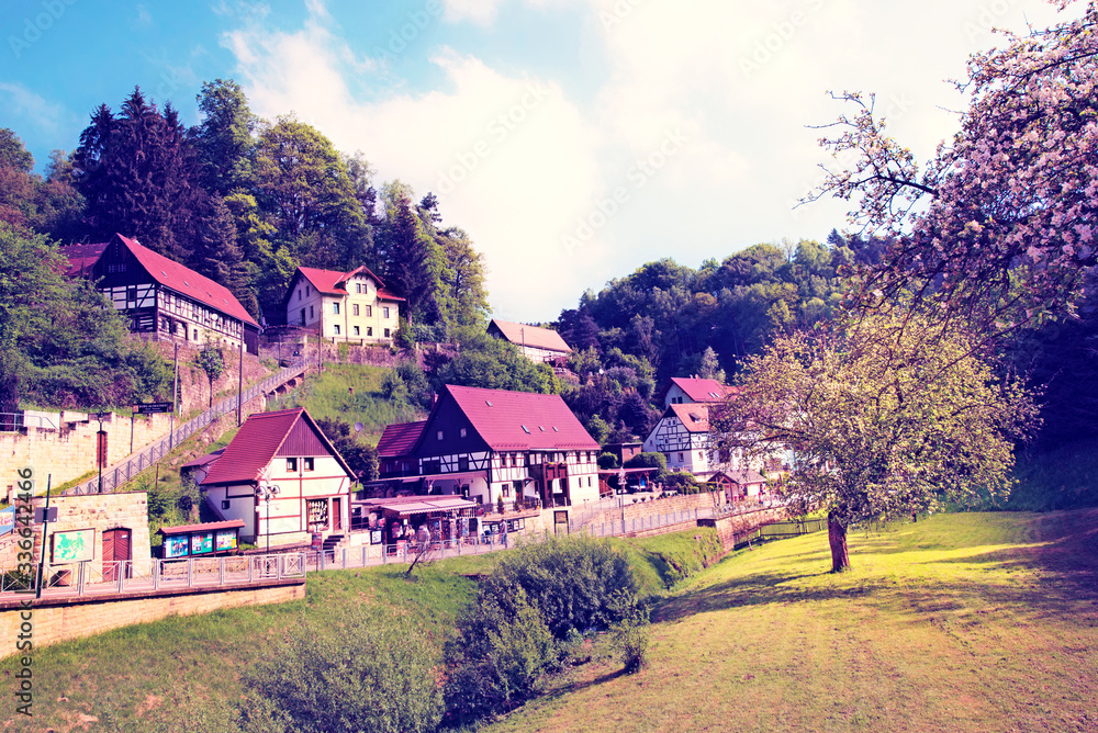 incredible scenery with tree in sunlight in Rathen, Germany, Europe (Sachsische Schweiz)