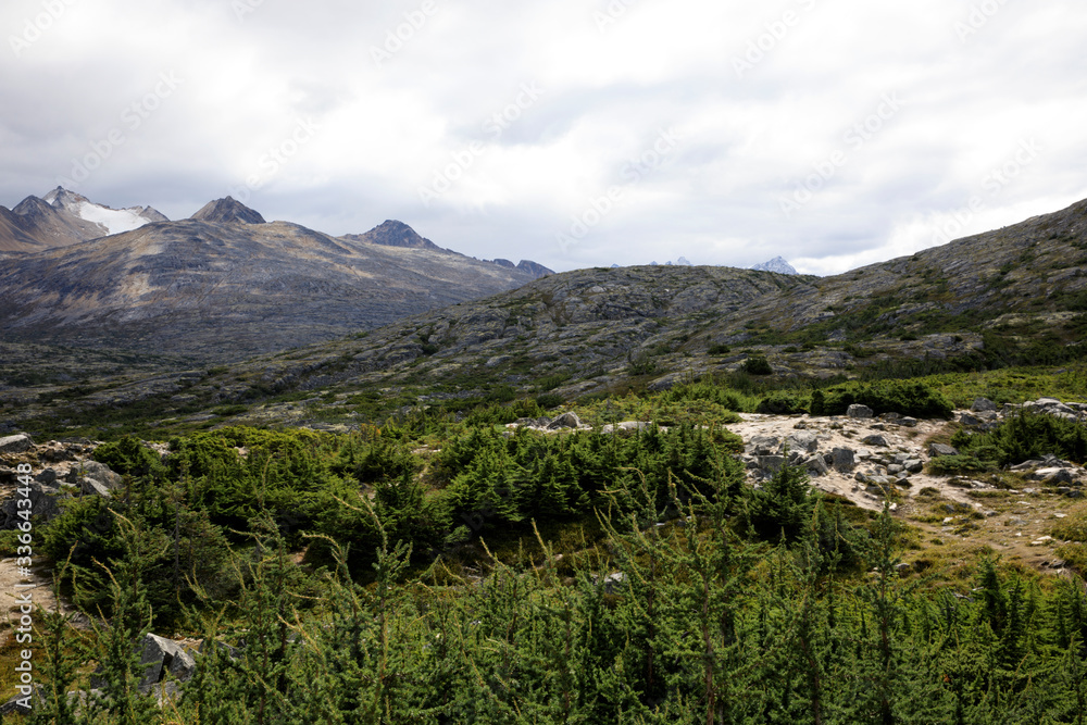 Skagway, Alaska / USA - August 12, 2019: White Pass landscape view, Skagway, Alaska, USA Skagway, Alaska / USA - August 12, 2019: White Pass landscape view, Skagway, Alaska, USA