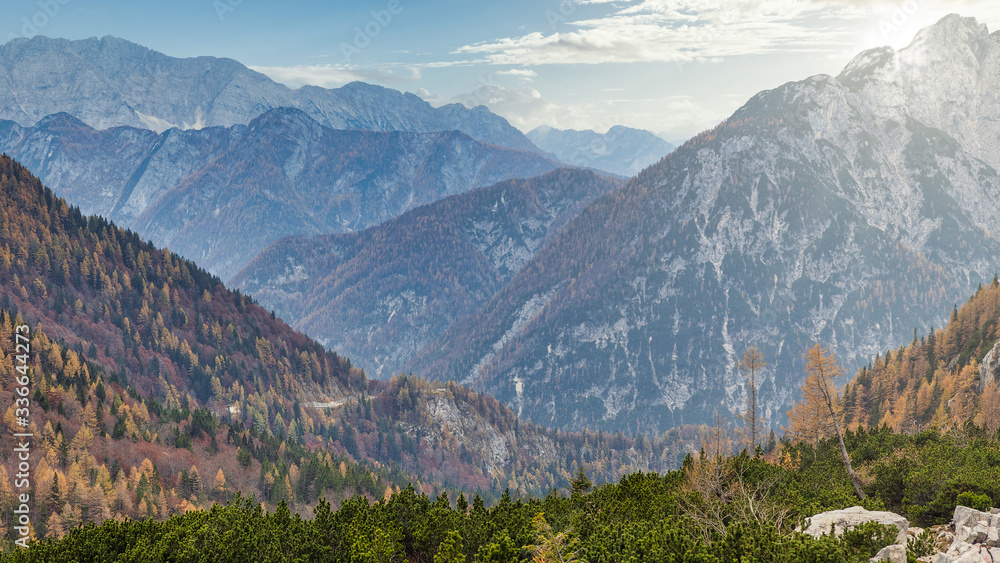 Plakat Slovenian Alps amazing view with colorful trees in autumn season