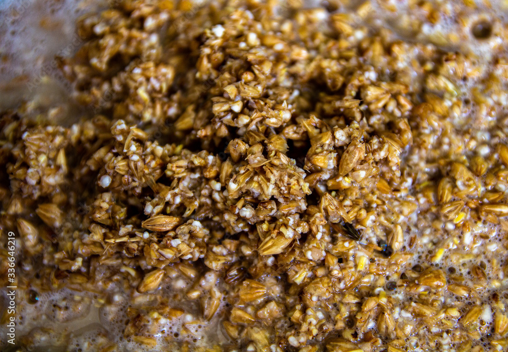 Malt close up Malt close up