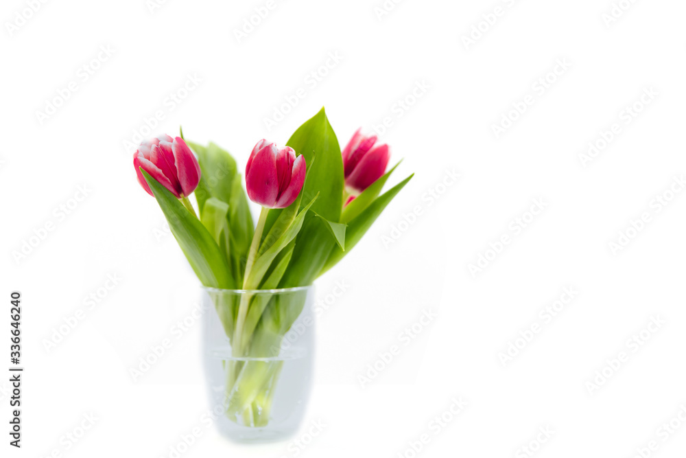 Bouquet of pink tulips in a transparent, glass vase on a white background. Bouquet of pink tulips in a transparent, glass vase on a white background.