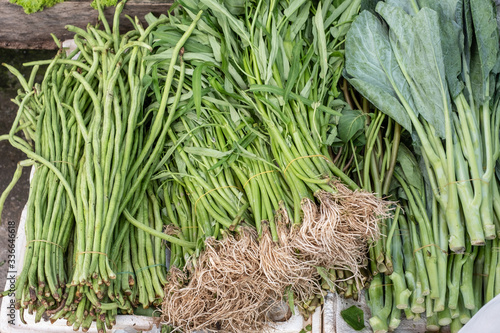 Fresh green Thai vegetables including morning glory, yardlong beans and kale selling at Thai local market.