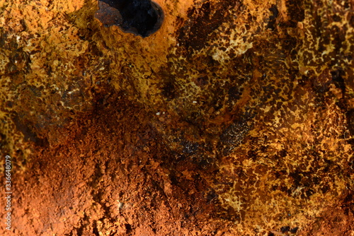 pattern  texture  birch fracture excrescence