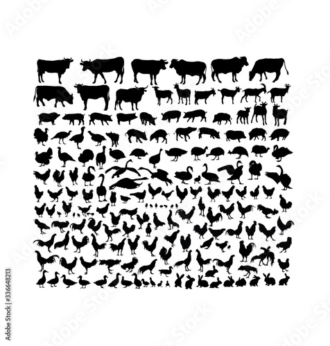 Farm Animal Activity Silhouettes, art vector design