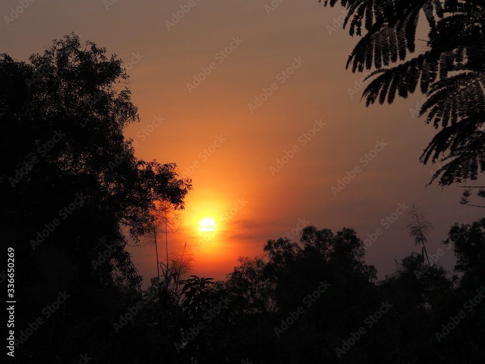 Fototapeta premium Morning abstract silhouette black bush tree on orange light sun cloud sky nature background