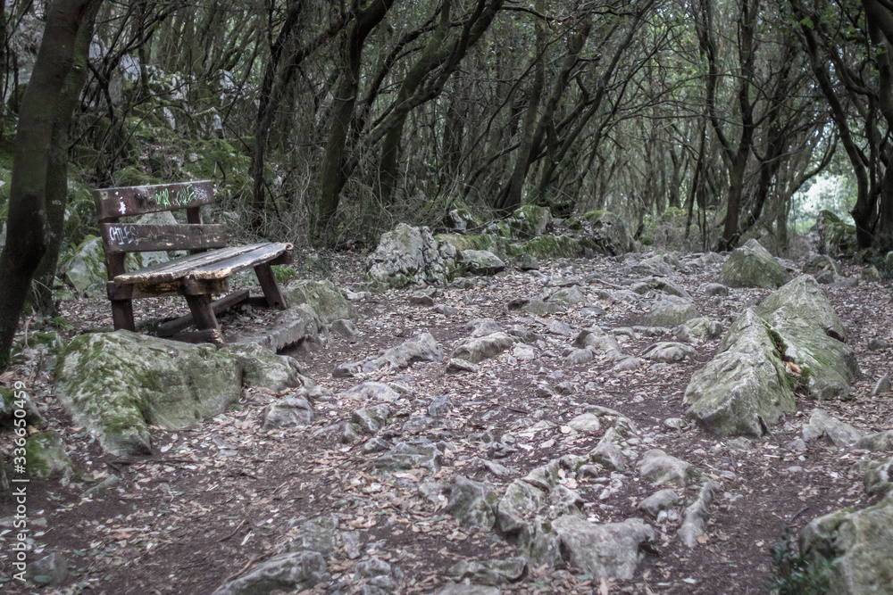 Stones and tree roots from the ground. Camino de Santiago. Get lost with the wilderness of the forest. Path in the forest. Wooden bench among the wild. Gothic tale. Gloomy landscape in the mountains. Stones and tree roots from the ground. Camino de Santiago. Get lost with the wilderness of the forest. Path in the forest. Wooden bench among the wild. Gothic tale. Gloomy landscape in the mountains.