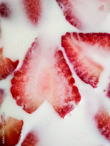 garden berries on a white background. perfect background for slides. an advertising option for farmers. the farm's products. red strawberries. strawberries in sugar