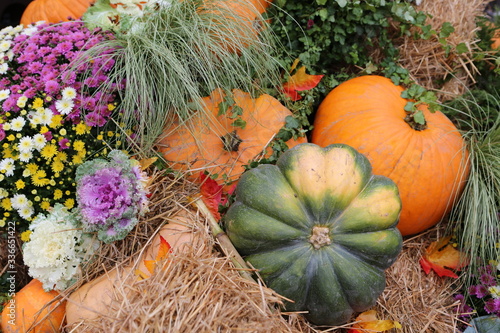 Decorative pumpkins from "Golden autumn 2019" open festival in Moscow city, near Red Square, Kremlin. Halloween decor with various pumpkins, fall vegetables and flowers. Harvest and garden decoration