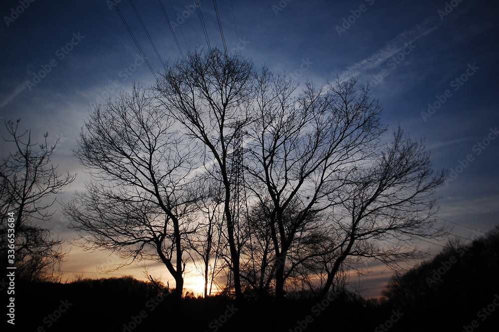 空 sky cielo 空 sky cielo