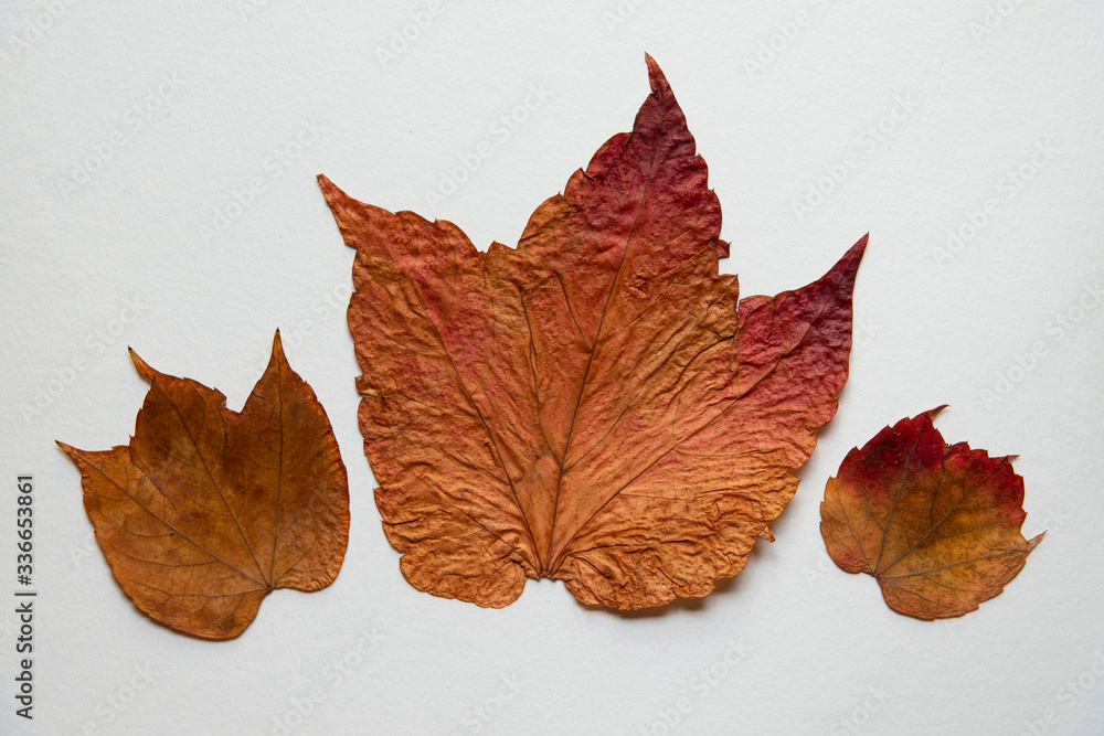 Simulation Feuille D'érable Feuille De Rotin Plante Verte Décoration De Plafond Vigne Pour