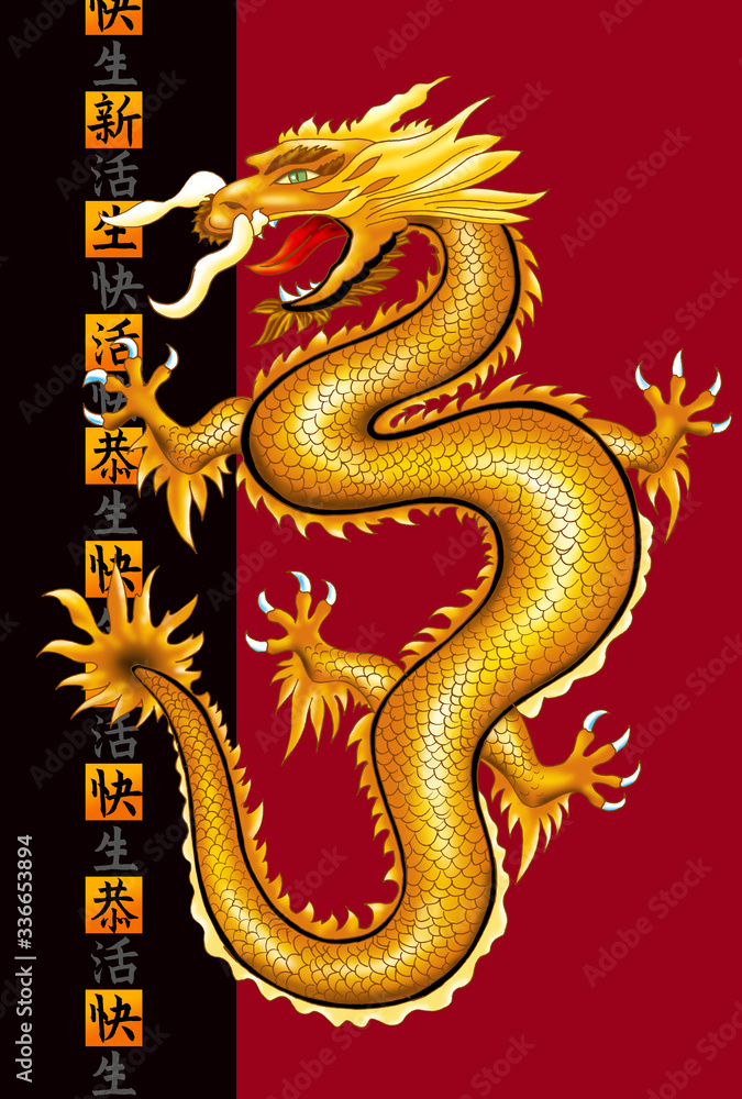 Obraz premium Projekt smoka Azji