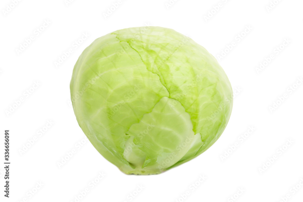 fresh young green cabbage isolated on the white background fresh young green cabbage isolated on the white background