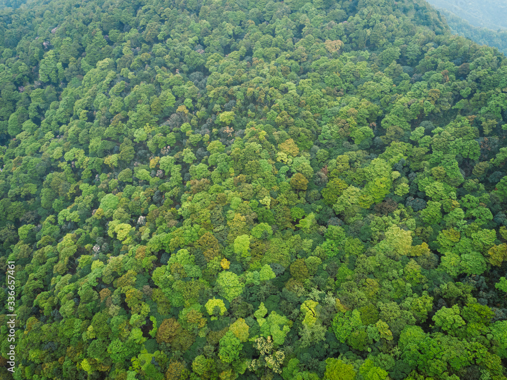 Aerial drone view of landscape in spring tropical forest