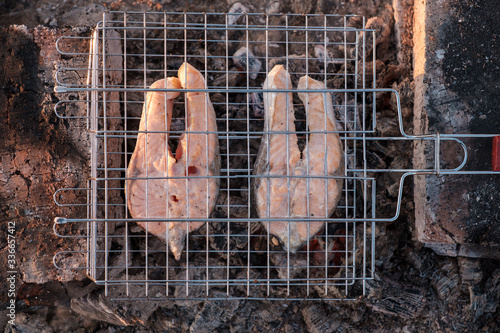 the process of cooking salmon on the grill in a campfire