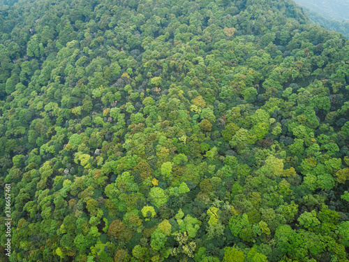 Aerial drone view of landscape in spring tropical forest