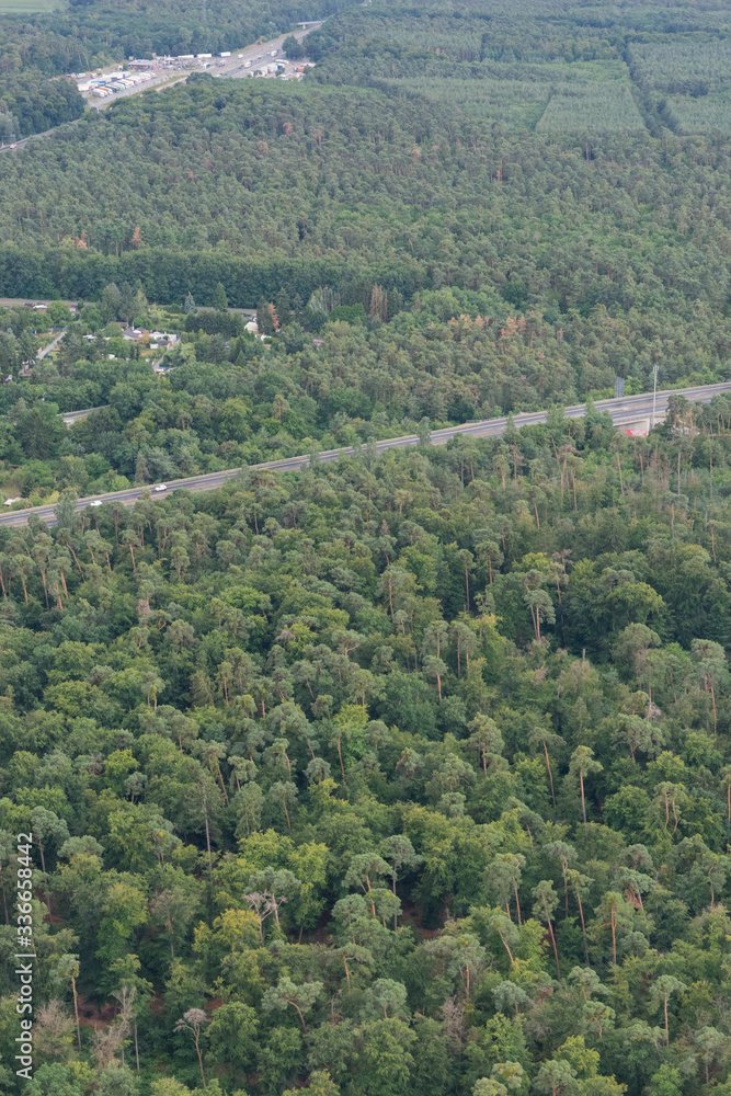 Fototapeta premium Autobahn durch grüne Waldlandschaft