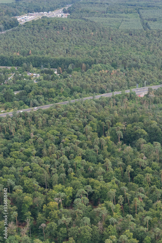 Fototapeta Naklejka Na Ścianę i Meble -  Autobahn durch grüne Waldlandschaft