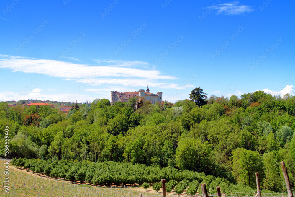 COSTIGLIOLE D'ASTI CASTLE IN ITALY  WITH GREEN WINEYARD ON THE HILLS
