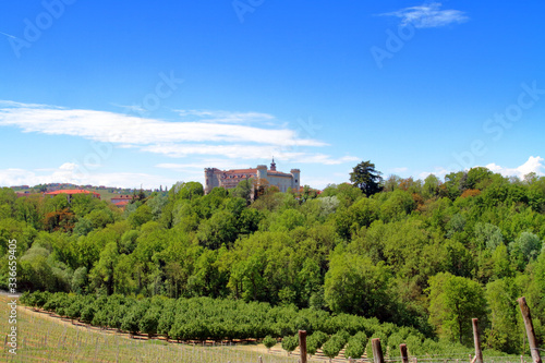 COSTIGLIOLE D'ASTI CASTLE IN ITALY WITH GREEN WINEYARD ON THE HILLS