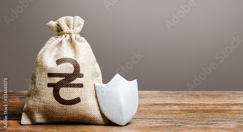 Fotografie Ukrainian hryvnia money bag and protection shield