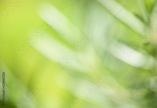 Abstrct defocused colorful green yellow  blurred bokeh background