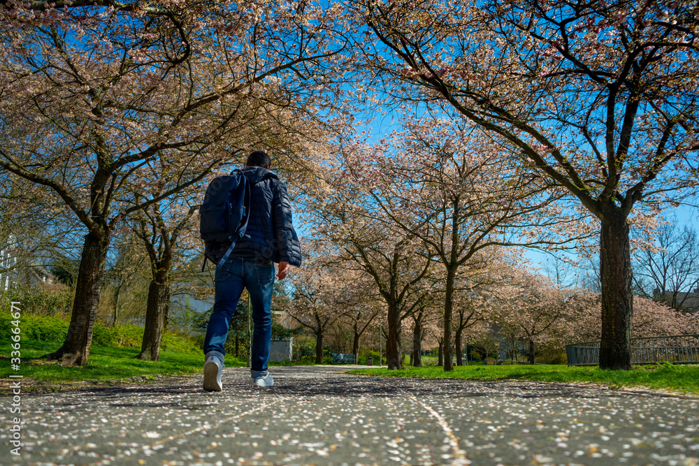 Men walking in a city park on a sunny day