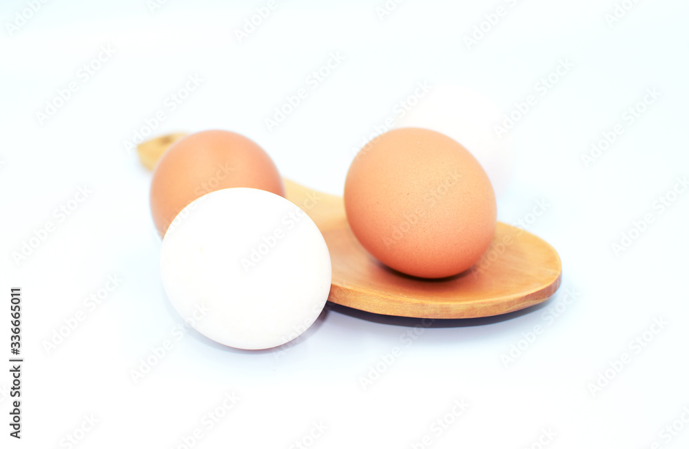 the only one of duck egg among chicken eggs, different from others. Concept for no corperate with team the only one of duck egg among chicken eggs, different from others. Concept for no corperate with team