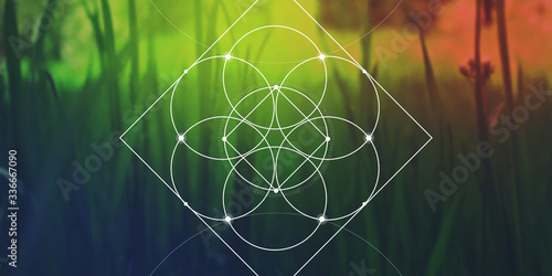 Sacred geometry web banner. Math, nature, and spirituality in nature. The formula of nature.