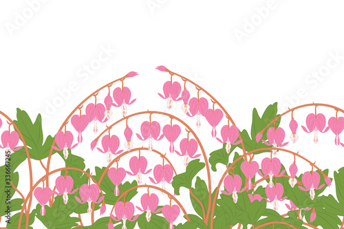 Spring flowers field seamless pattern background and borders with Asian bleeding heart, heart shaped pink and white flower, lyre flower, heart flower and lady in a bath. Floral frame border pattern.
