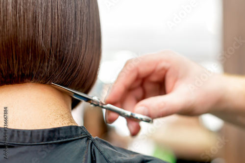 Hairdresser cuts hair tips of short hairstyle of woman back view with copy space. Toned.
