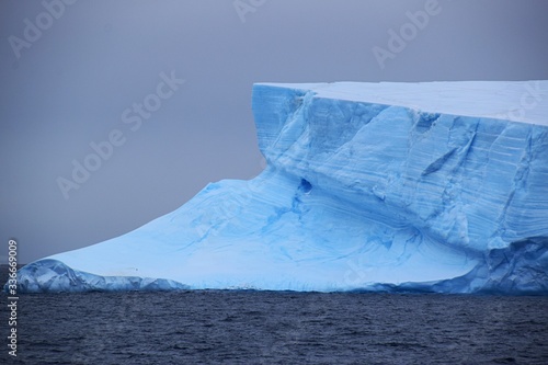 Trinity Peninsula Icebergs , Antarctica 