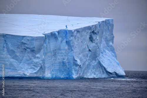 Trinity Peninsula  Icebergs , Antarctica  © OanaG