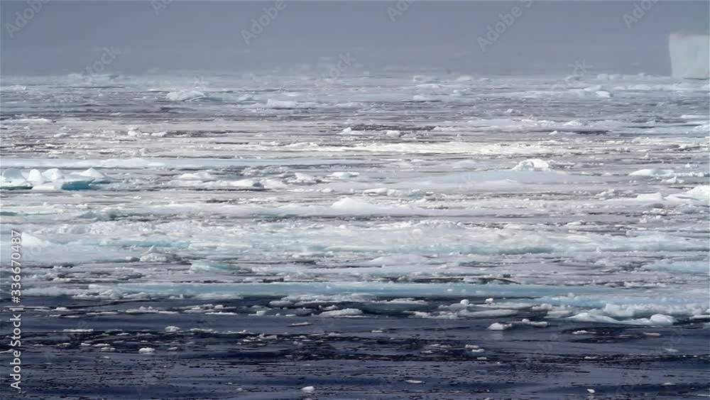 Arctic sea Floating,North pole Arctic sea Floating,North pole