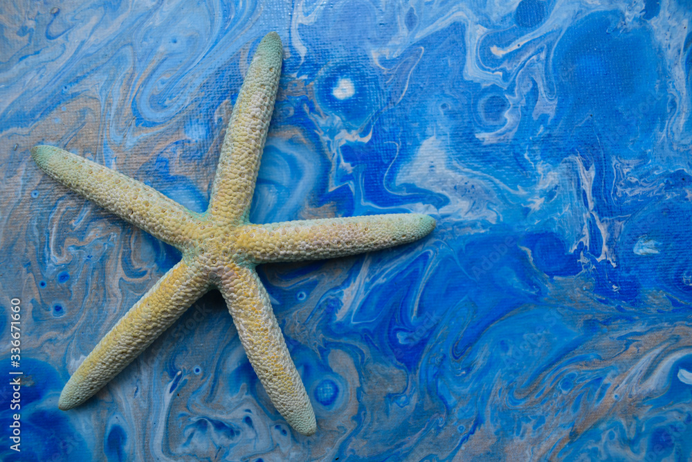 Starfish resting on an abstract blue background. Starfish resting on an abstract blue background.