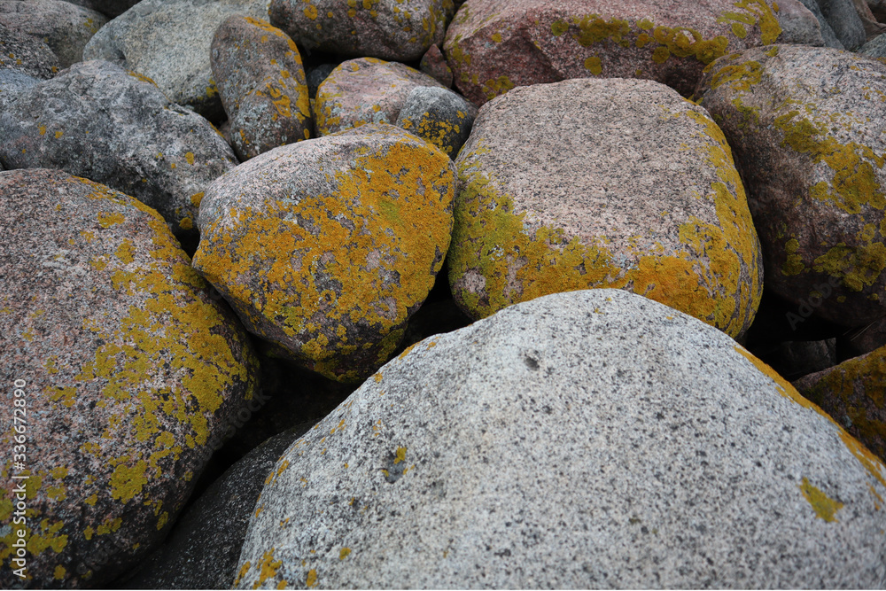 moss covered stones on a beach. closeup of stones moss covered stones on a beach. closeup of stones