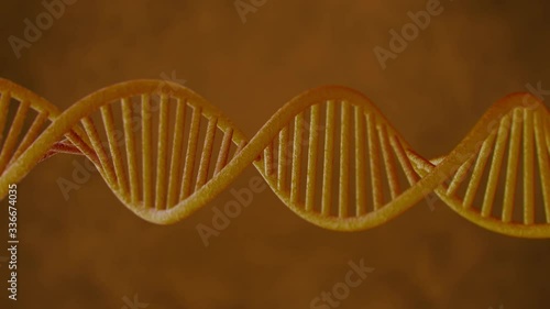 Dna Rotation video in Loop 4K photo