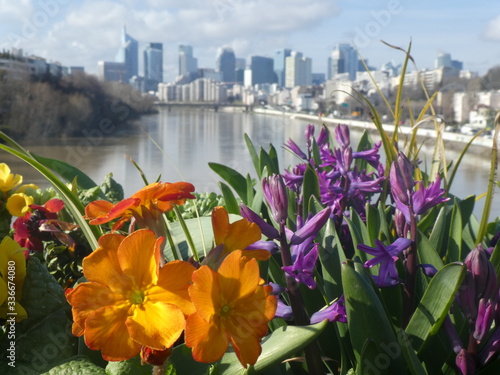 Orange primroses and purple hyacinths with La Défense business district in the background, Pont de Levallois, France, 2020 photo