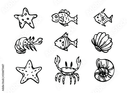 vector, sea creatures line art, fish, shell crabs, star-fish