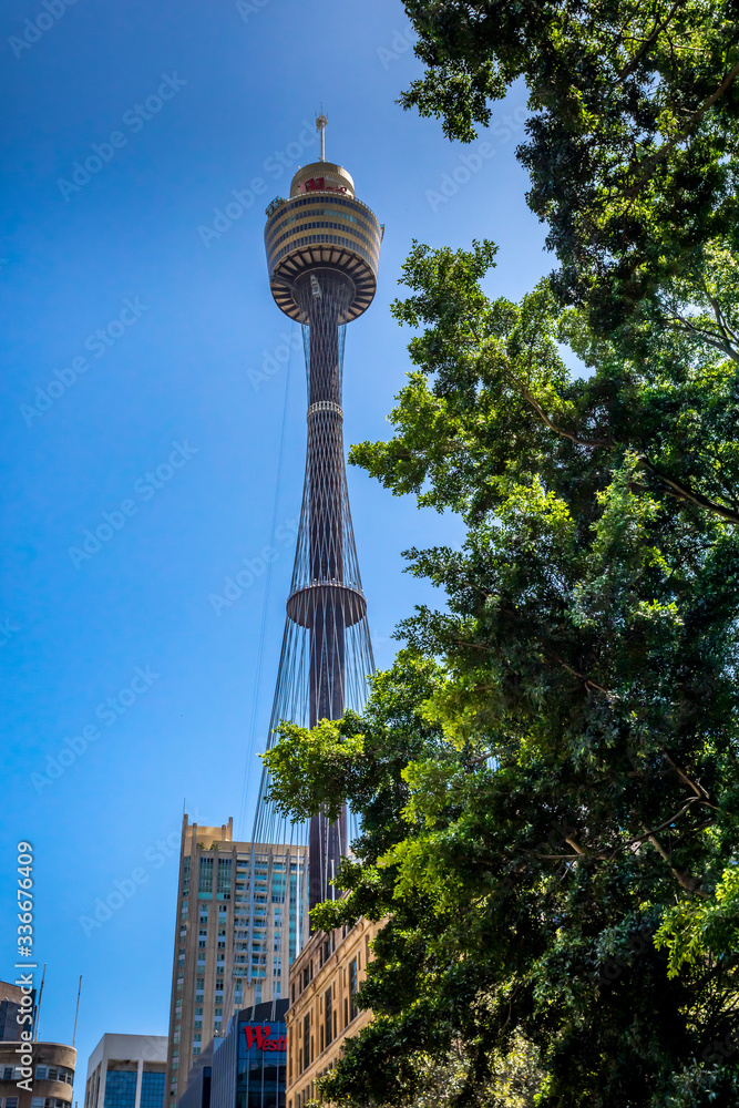 Sydney, Australia - 10th February 2020: A German photographer visiting the city center, taking pictures of a park with a view to the Sydney Tower.
