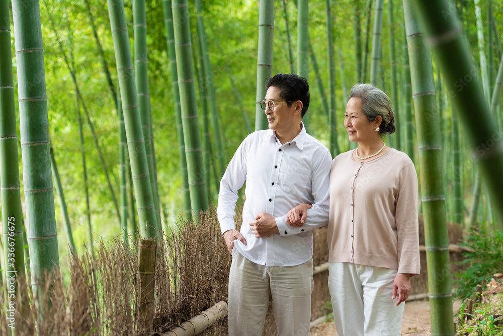 An Asian elderly couple walking in the bamboo forest