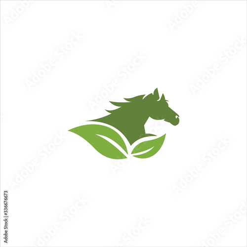 Horse logo vector design template photo