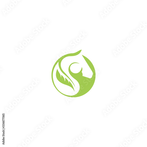 Animal horse logo vector design templateS