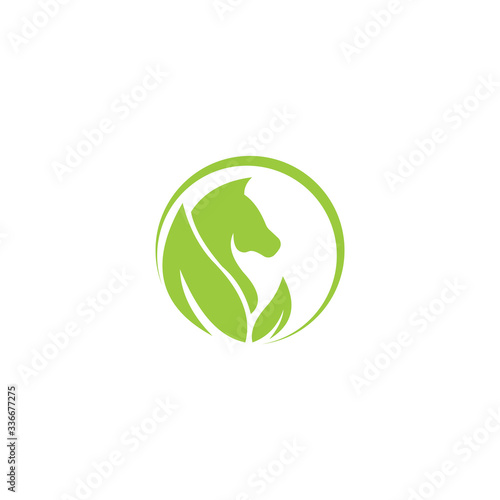 Animal horse logo vector design templateS