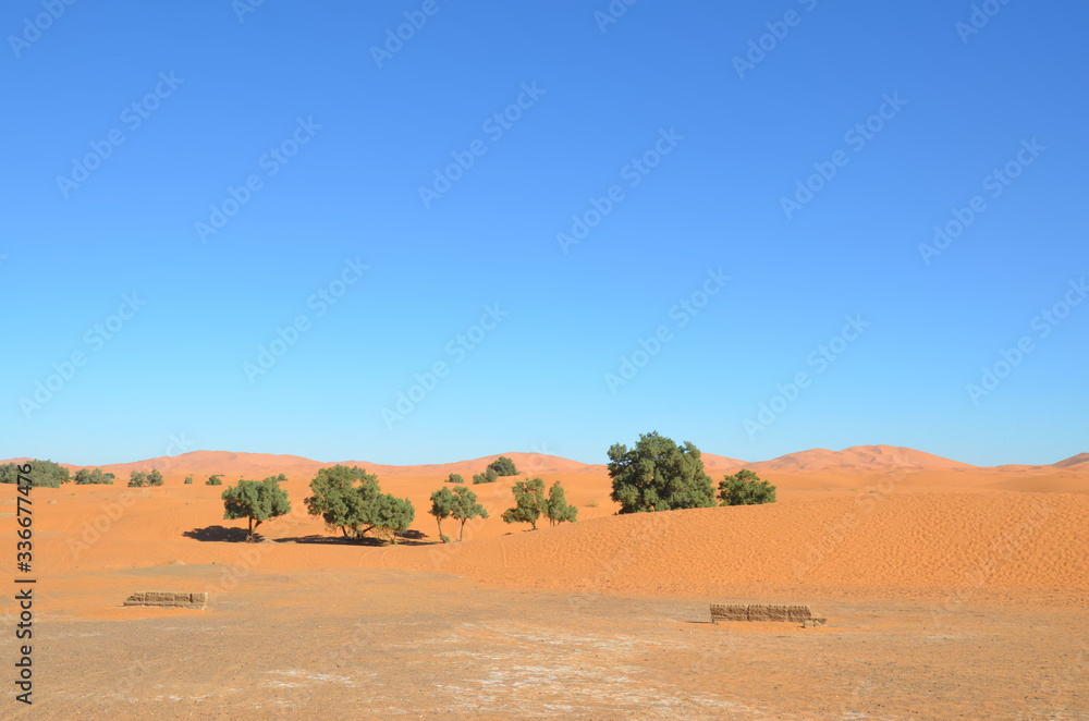 Merzouga is a small Moroccan town in the Sahara Desert, near the Algerian border. Camel is one of the major transport in the desert.