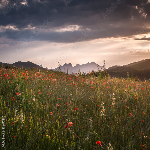 Amanecer en el campo con amapolas, nubes de tormenta y al fondo la montaña de Montserrat (Cataluña, España). 