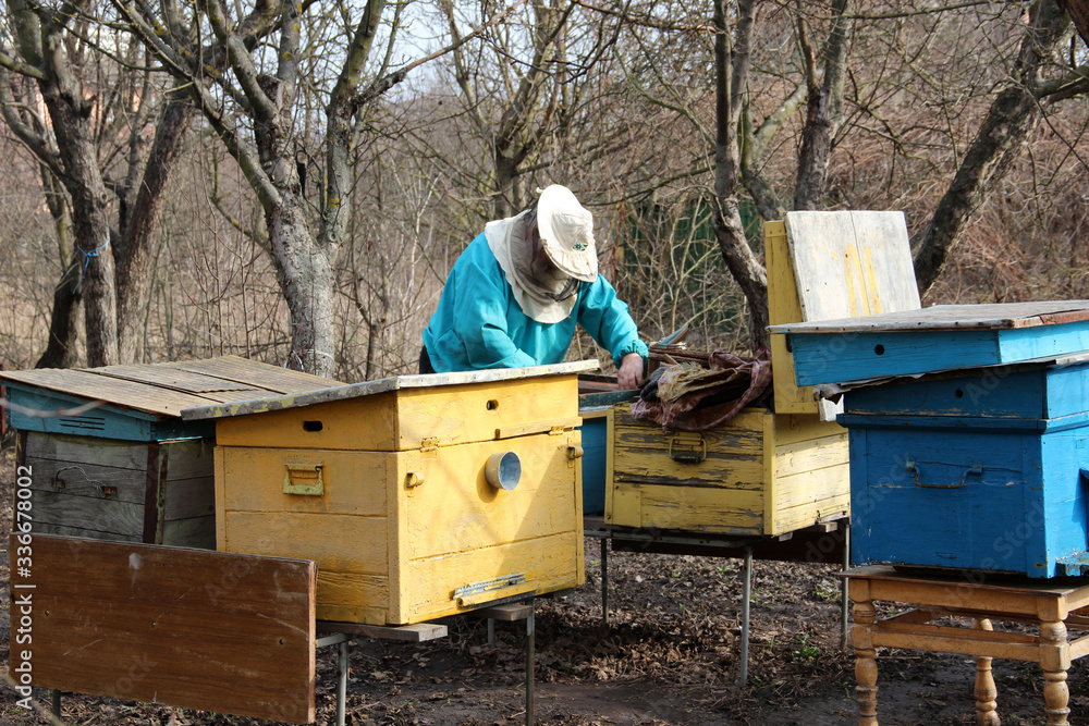 Beehive Spring Management. Beekeeper inspecting bee hive and prepares apiary for summer season. The spring works in the apiary. The start of beekeeping season. Frames of a bee hive. Beehive Spring Management. Beekeeper inspecting bee hive and prepares apiary for summer season. The spring works in the apiary. The start of beekeeping season. Frames of a bee hive.