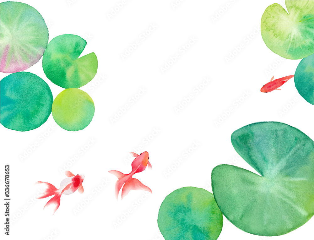 池で泳ぐ３匹の金魚と睡蓮の葉を構成した水彩イラスト トレースベクター 暑中見舞い背景 Stock Vector Adobe Stock