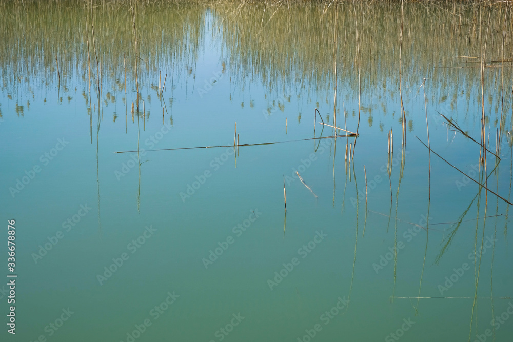 The reed shore of a wild lake in Ukraine. Smooth mirror surface of water. Copy space. The reed shore of a wild lake in Ukraine. Smooth mirror surface of water. Copy space.