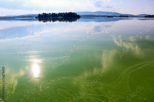 Landscape with harmful algal blooms on water surface. Sungul Lake in Russia is covered with blooming blue-green algae (Cyanobacteria). View of polluted nature on a summer.